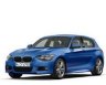 Автоковрики BMW 1 II (F20-F21) (БМВ 1 F20-F21) (2011-…)